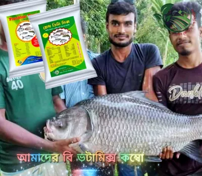 গ্রোথ ভিটামিক্স কম্বোপ্যাক (5 KG)